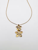 Colar Lily em Prata Dourada com Zircónias